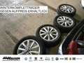 Volkswagen T-Roc R-Line 2.0 TSI DSG 4Motion AHK LEDER EL. HECKKL. B Grau - thumbnail 11