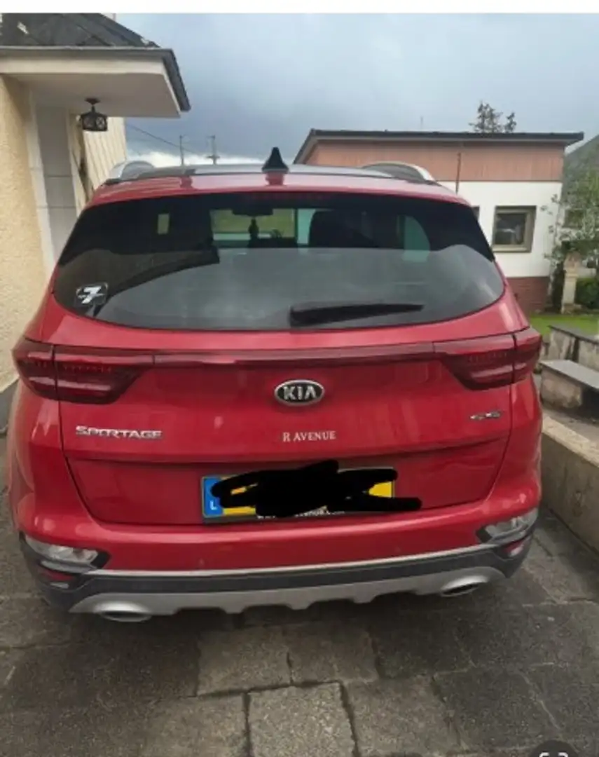 Kia Sportage Sportage 1.6 CRDI AWD Ec+ (48V MH) DCT Blanc - 2