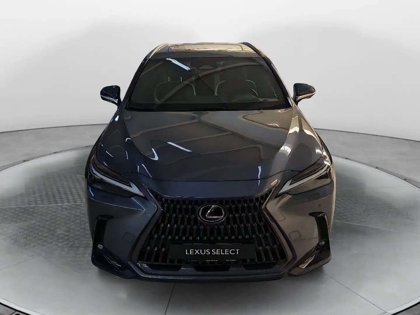 Lexus NX 300 Plug-in 4WD Luxury - 2