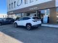 Hyundai TUCSON 1.6 HEV aut.Exellence Bianco - thumbnail 2