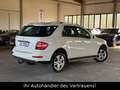 Mercedes-Benz ML 350 CDI 4Matic*1.Hand*AHK*XENON*PTS Weiß - thumbnail 7