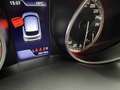 Suzuki Swift Sport PREZZO REALE NESSUN OBBLIGO DI FINANZIAMENTO Blu/Azzurro - thumbnail 15