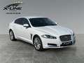 Jaguar XF 2.2 Diesel Automatik* Leder* Navi* Tempomat*  RFK* Weiß - thumbnail 3