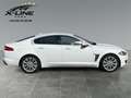 Jaguar XF 2.2 Diesel Automatik* Leder* Navi* Tempomat*  RFK* Weiß - thumbnail 6