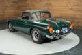MG MGB Cabriolet | 1974 Zelená - thumbnail 13
