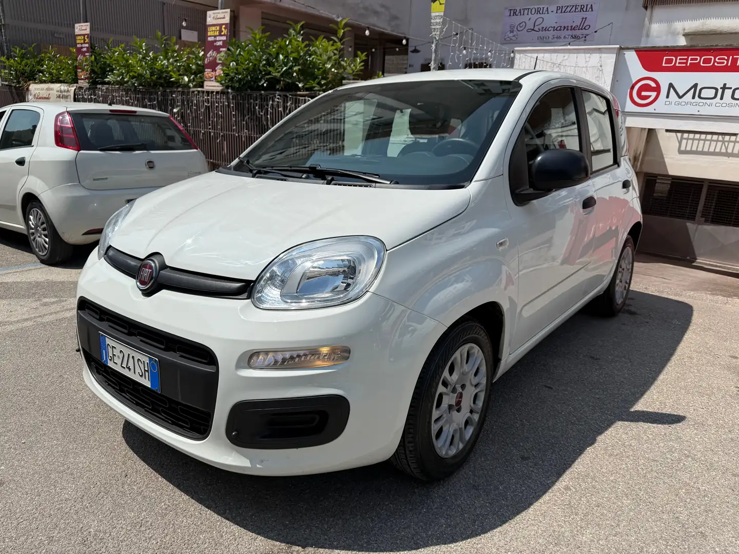 Fiat Panda Panda 1.0 hybrid Easy Connect Bianco - 1
