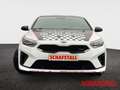 Kia ProCeed / pro_cee'd GT 1.6 T-GDI 1.Hand Panorama Navi Tempomat JBL Kam Wit - thumbnail 9