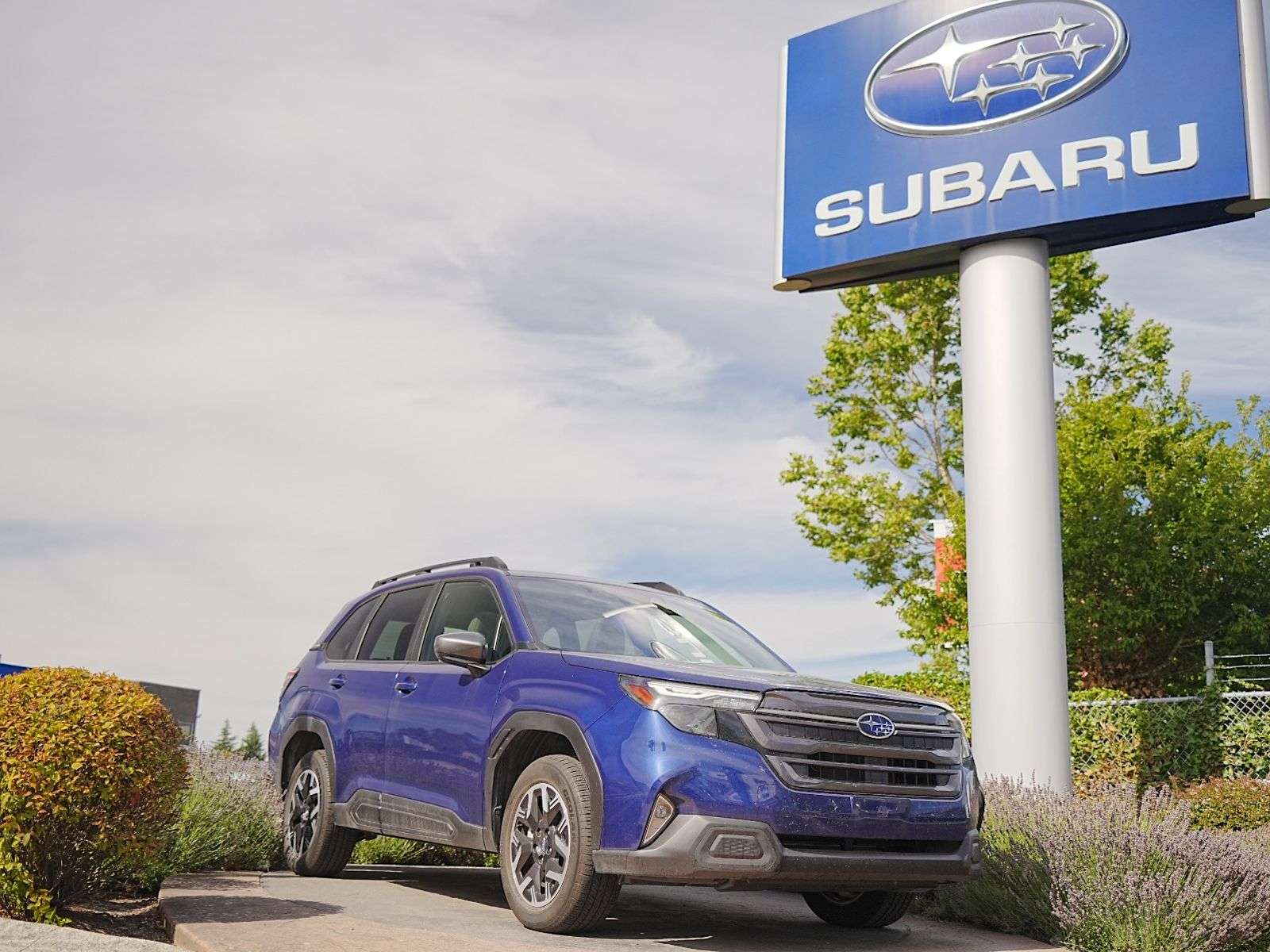2025 Subaru Forester