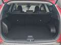 Hyundai TUCSON Prime Mild-Hybrid 4WD*AKTIONSPREIS IM MAI Rouge - thumbnail 12