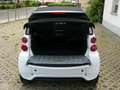 smart forTwo fortwo Cabrio Servo Klima Navi SHz +GARANTIE+ Weiß - thumbnail 13