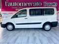 Fiat Scudo Scudo 2.0 MJT/130 PC Panorama Family 5 posti (M1) Alb - thumbnail 3