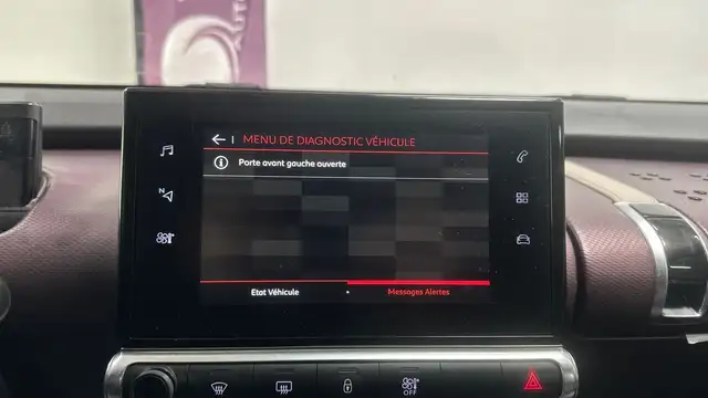 Citroen C4 Cactus view 18