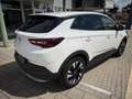 Opel Grandland X AHK, Leder, NAVI, 63932km!!! Bianco - thumbnail 13