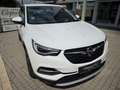 Opel Grandland X AHK, Leder, NAVI, 63932km!!! Bianco - thumbnail 2