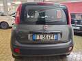 Fiat Panda Panda 1.2 Pop 5 POSTI Grigio - thumbnail 7