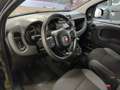 Fiat Panda Panda 1.2 Pop 5 POSTI Grigio - thumbnail 11