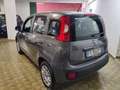 Fiat Panda Panda 1.2 Pop 5 POSTI Grigio - thumbnail 8