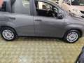 Fiat Panda Panda 1.2 Pop 5 POSTI Grigio - thumbnail 5