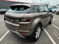 Land Rover Range Rover Evoque IV TD4 180 BVA HSE - Garantie 12 Mois Brun - thumbnail 5