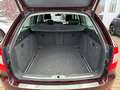 Skoda Superb Combi, TÜV neu, Zahnriemen neu - thumbnail 11