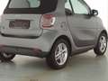 smart forTwo EQ Cabrio Passion Exclusive 22kW JBL LED Сірий - thumbnail 10