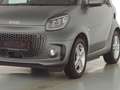 smart forTwo EQ Cabrio Passion Exclusive 22kW JBL LED Grau - thumbnail 4