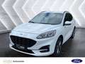 Ford Kuga ''ST-Line'' 2.5L Duratec Plug-in-Hybrid Anhängerku Weiß - thumbnail 1