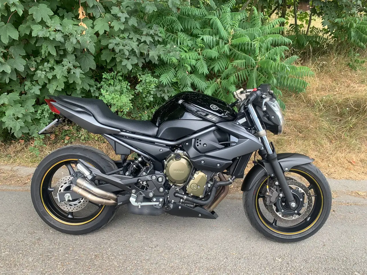 Yamaha XJ 6