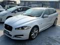 Jaguar XF Sportbrake 2.2 D 200 CV Premium Luxury Bianco - thumbnail 1