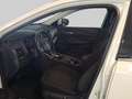 Nissan Qashqai 1.3 MHEV Xtronic Acenta Incl. Achteruitrijcamera | Blanc - thumbnail 12