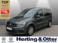 Volkswagen Caddy Trendline AHK Temp GJR Bi-Xenon SHZ Klima PDC Radi Grigio - thumbnail 1
