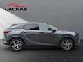 Lexus RX 350h h Business Line ACC+LED+CarPlay+ Grau - thumbnail 6