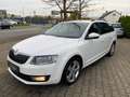Skoda Octavia 2.0 TDI DSG Elegance Combi/S.Assisten// Weiß - thumbnail 2
