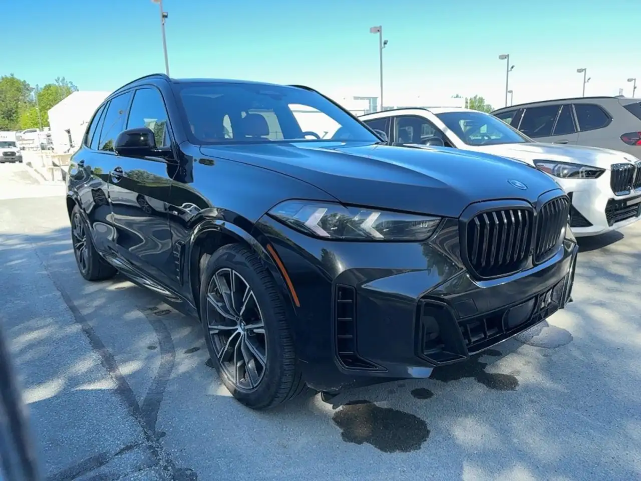 BMW X5 снимка BMW X5