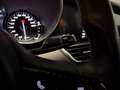 Alfa Romeo Giulia GARANTIE 12 à 48 mois Argent - thumbnail 16