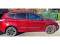 Ford Kuga Kuga 1.5 TDCi - 120 4x2  ST-Line Rouge - thumbnail 7