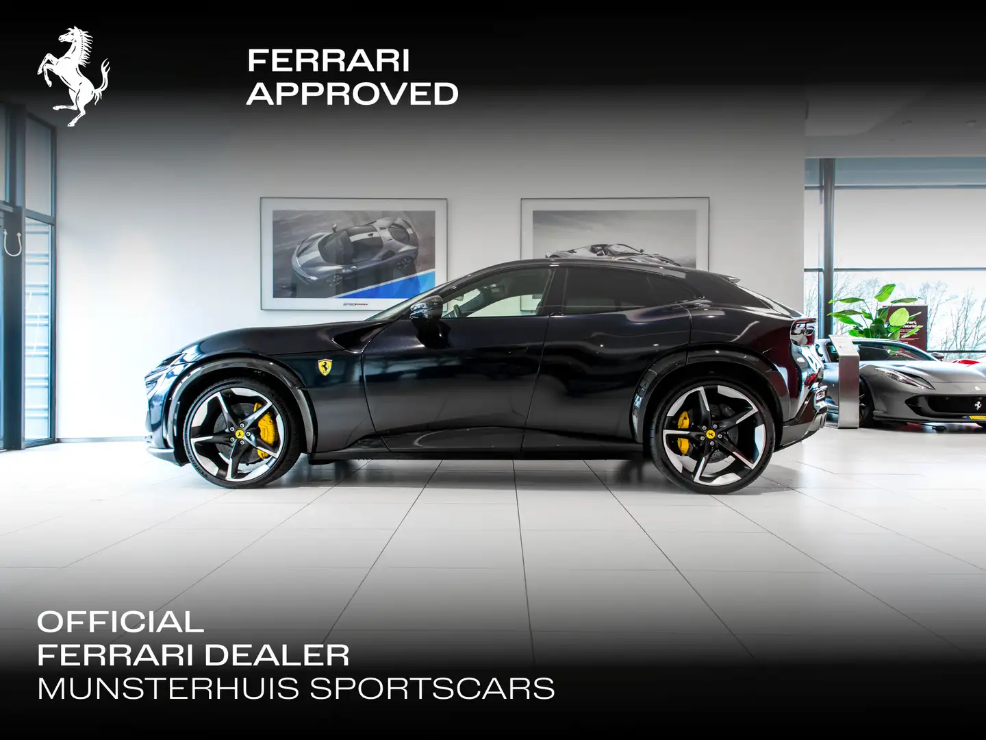 Ferrari Purosangue ~Ferrari Munsterhuis~ Albastru - 1