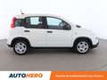 Fiat Panda 1.0 Hybride BSG Panda Blanco - thumbnail 7