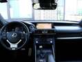 Lexus IS 300 300h Hybrid F-Sport Line | Mark Levinson | Stoelve Сірий - thumbnail 14