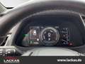 Lexus UX 250h 250h*LED*KAMERA*NAVI*SITZHEIZUNG*TOP*KLIMA* Oranj - thumbnail 11