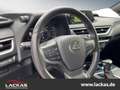 Lexus UX 250h 250h*LED*KAMERA*NAVI*SITZHEIZUNG*TOP*KLIMA* Oranje - thumbnail 10