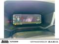 Dacia Bigster Hybrid 155 Journey NAVI SHZ LHZ 360°KAMERA KLIMA Azul - thumbnail 18