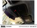 Dacia Bigster Hybrid 155 Journey NAVI SHZ LHZ 360°KAMERA KLIMA Azul - thumbnail 25