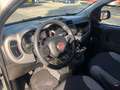 Fiat Panda Panda  2021  t.air natural power City Life 70cv Weiß - thumbnail 8