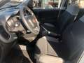 Fiat Panda Panda  2021  t.air natural power City Life 70cv Weiß - thumbnail 10