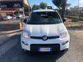 Fiat Panda Panda  2021  t.air natural power City Life 70cv Weiß - thumbnail 2