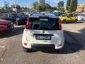 Fiat Panda Panda  2021  t.air natural power City Life 70cv Weiß - thumbnail 7