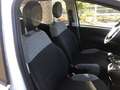 Fiat Panda Panda  2021  t.air natural power City Life 70cv Weiß - thumbnail 15