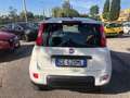Fiat Panda Panda  2021  t.air natural power City Life 70cv Weiß - thumbnail 6
