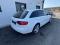 Audi A4 Attraction Weiß - thumbnail 6